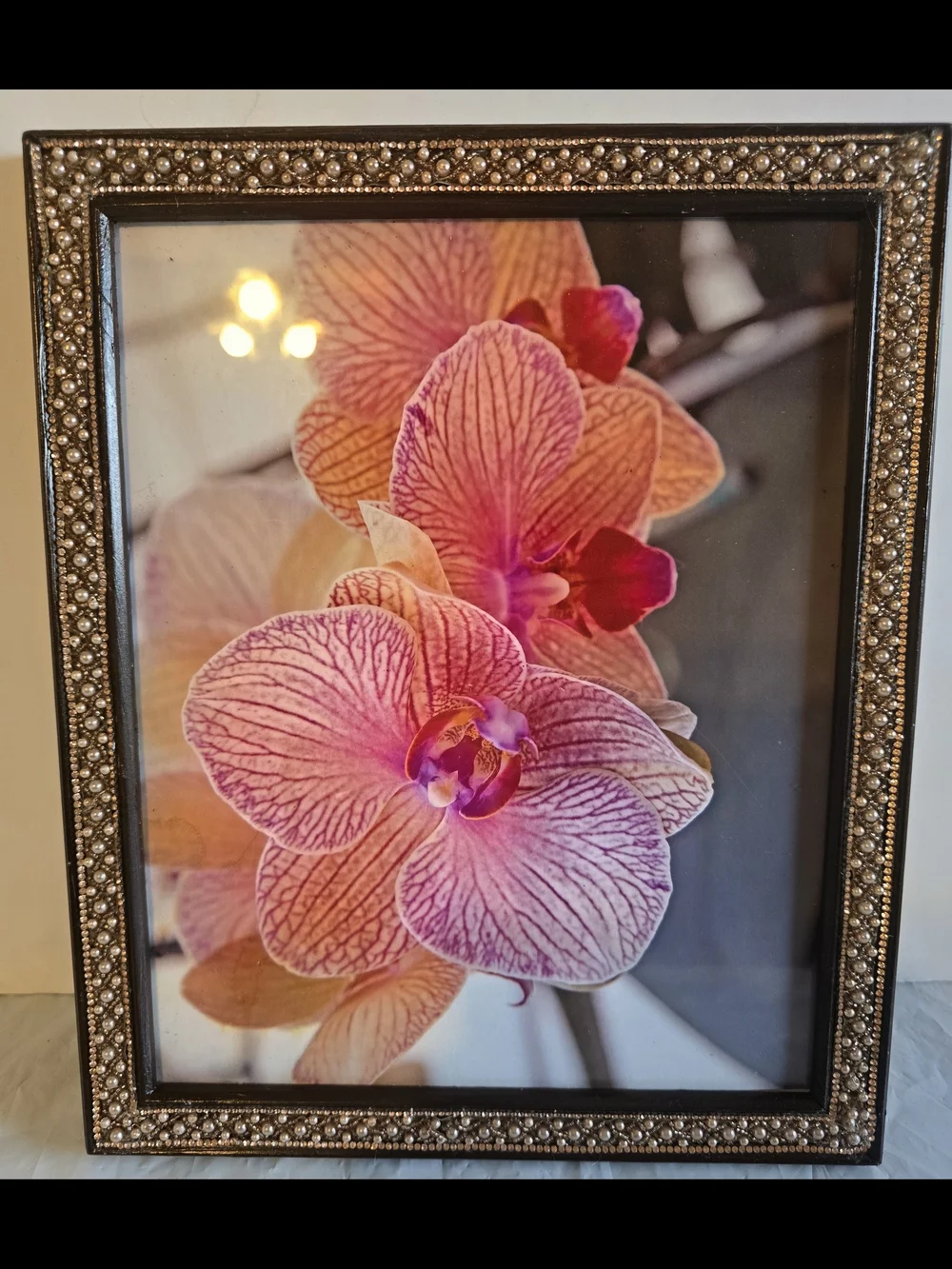 Orchid Floral Wall Art Print  Decorative Home Accent Picture Frame New 8x10 Phot